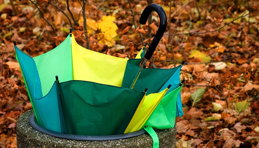 umbrella, disposable, defect, autumn, green yellow, golden autumn, leaves, coloring, colorful, leaf