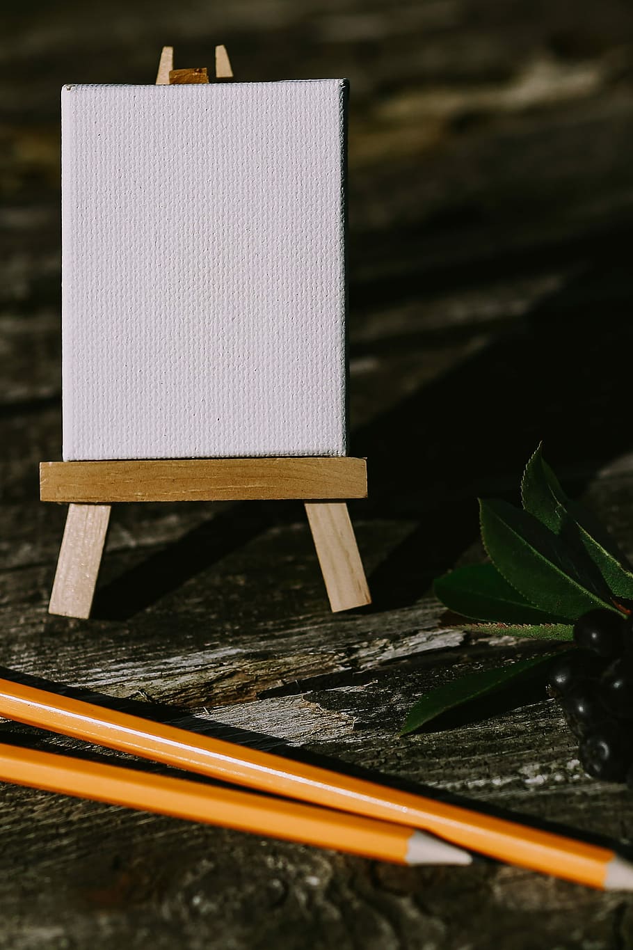 flowers, pencils, things, wood, Small, blueberries, wooden, berries, canvas, open space