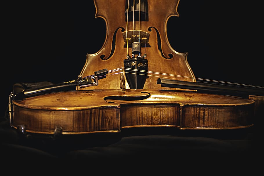 violin, viola, music, classic, string, quartet, brown, strings, wood, bowed instruments