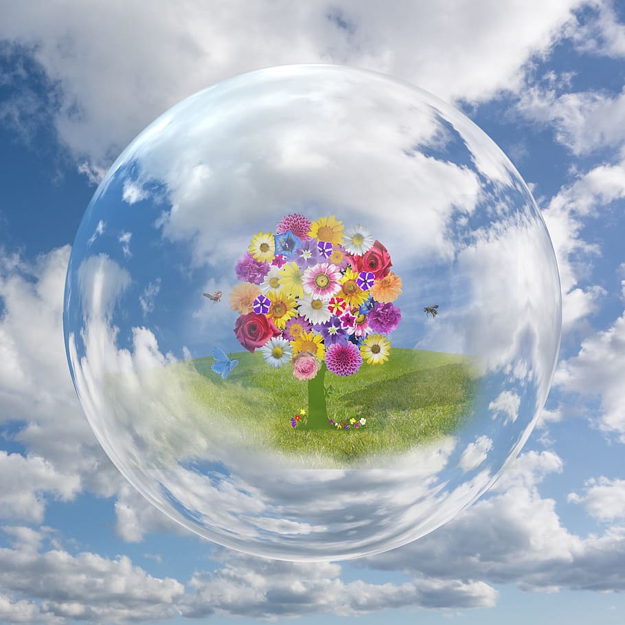 assorted-color daisies, roses, inside, bubble, clouds, clouded sky, sky, cumulus clouds, blue, weather