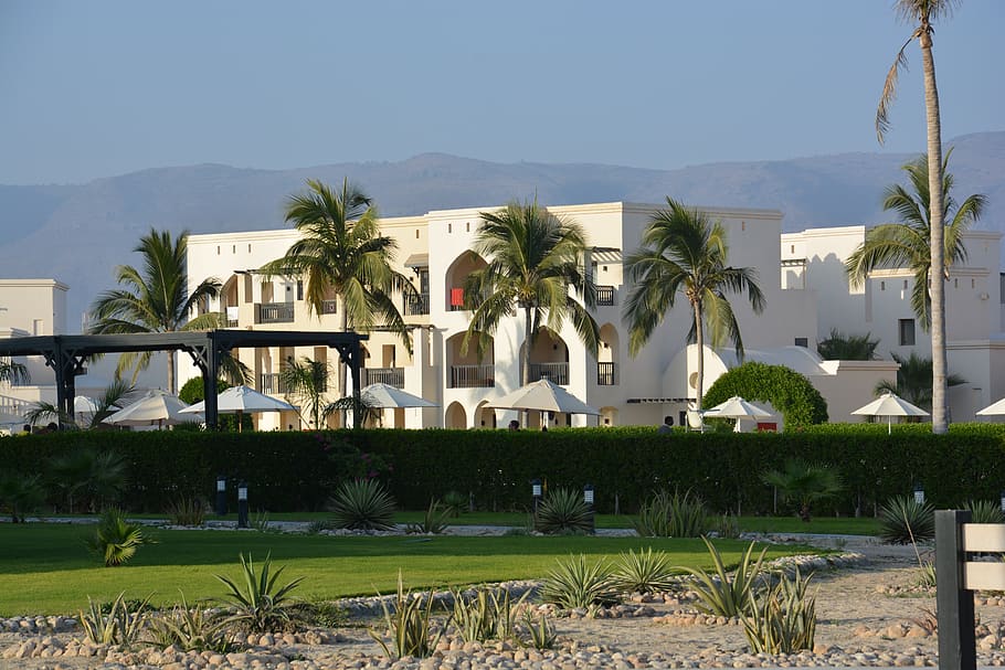 oman, resort, tourism, holidays, architecture, built structure, building exterior, palm tree, plant, tropical climate