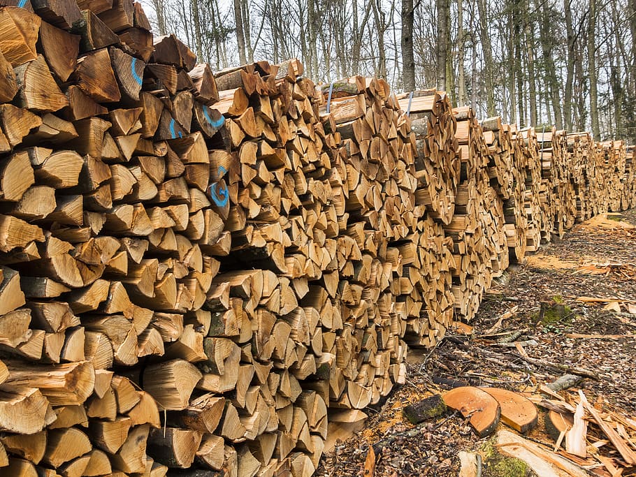 wood, firewood, holzstapel, stacked up, growing stock, timber, timber industry, beech firewood, stack, log