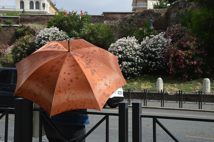rain, umbrella, italy, rome, summer, protection, railing, security, plant, tree