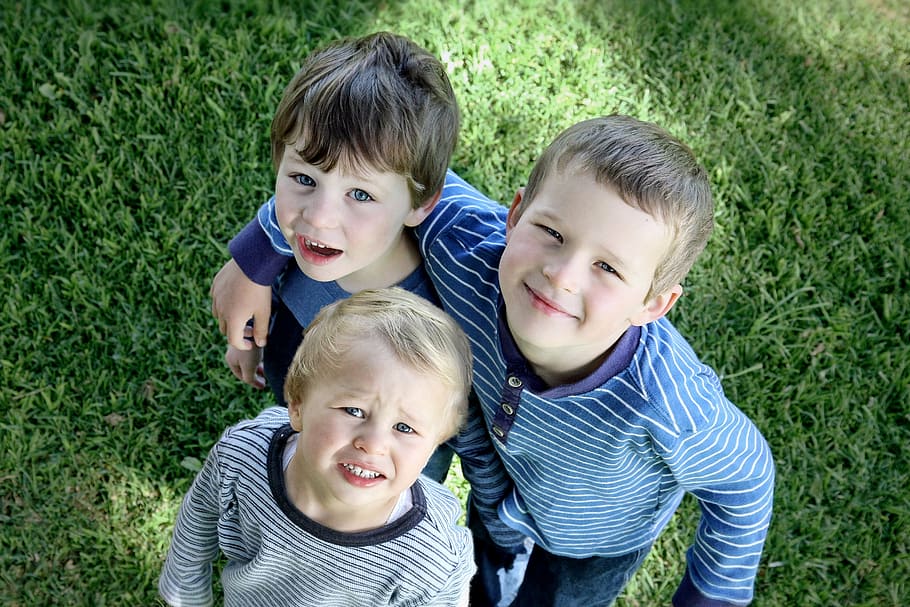three, children, standing, grassy, field, brothers, boys, look up, family, love