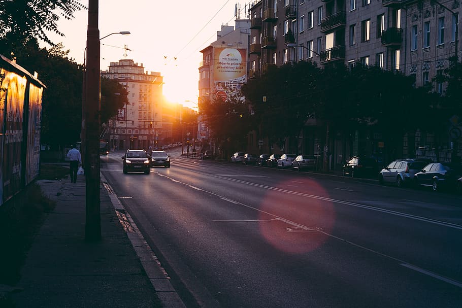 two, cars, travelling, road, daytime, sun, sunrise, path, in the morning, city