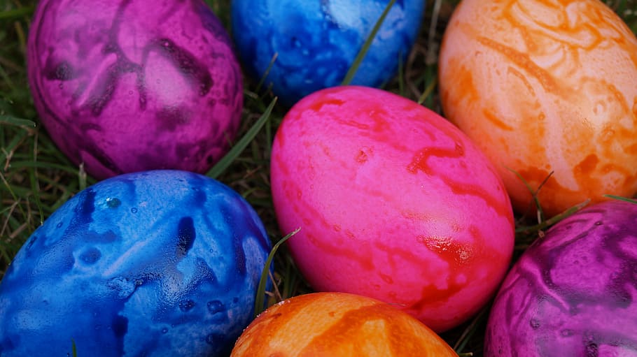 telur, berwarna-warni, warna, telur paskah, paskah, telur berwarna-warni, telur rebus, dekorasi paskah, telur ayam, sarang paskah