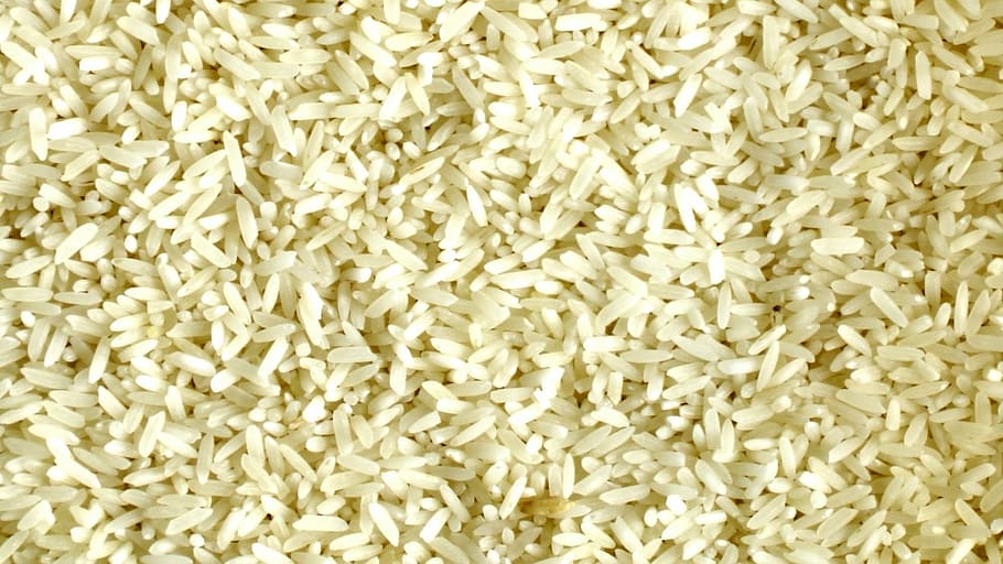 relleno, fotografía de marco, arroz, grano, granos, indio, granos de arroz, chino, coreano, japonés