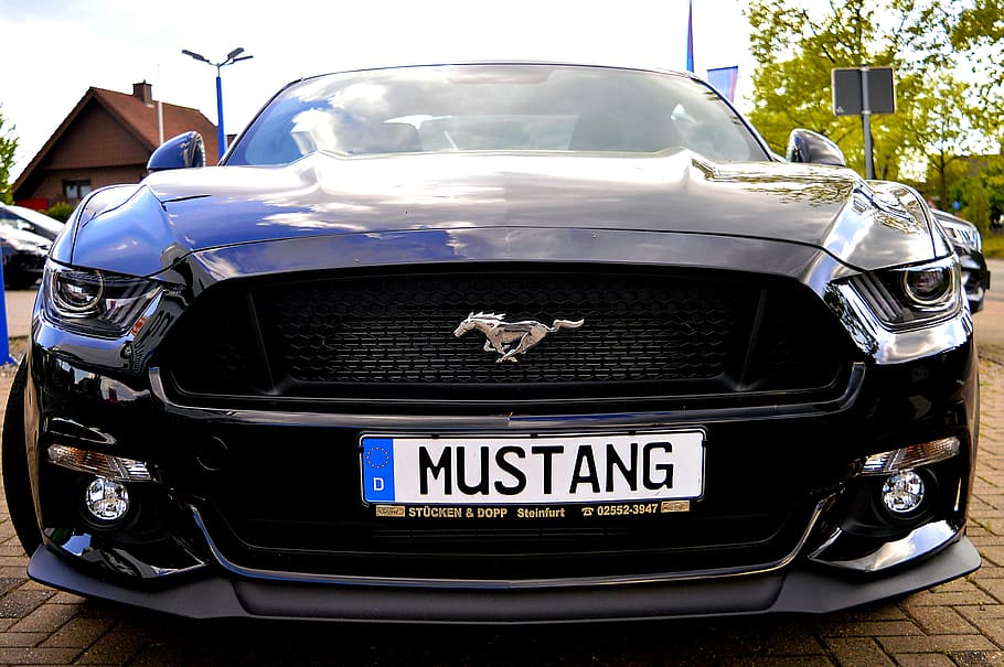 Mustang, Mobil Sport, mobil mustang, kendaraan, otomotif, ford, ford mustang, pkw, cepat, motor