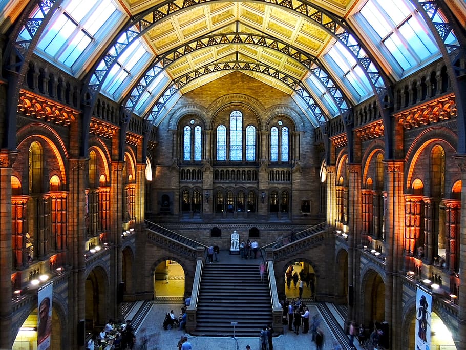 茶色, 黒, コンクリート, 建物, 自然史博物館, ロンドン, 建築, 博物館, 歴史, 自然