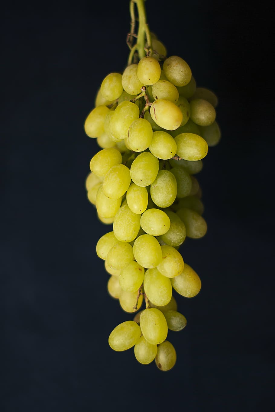 green grapes, green, grapes, fruits, food, healthy, black background, studio shot, food and drink, bunch