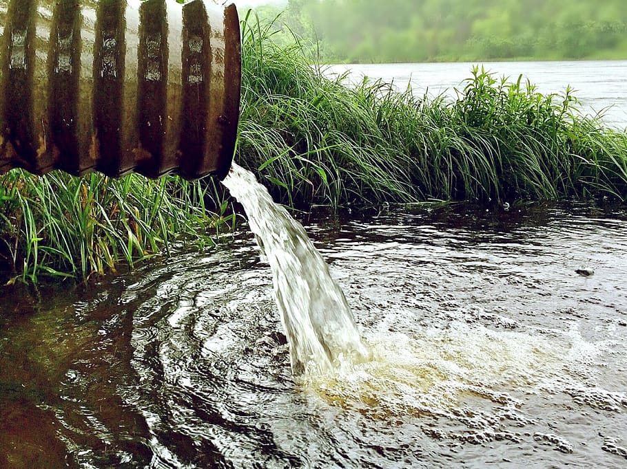 water, environment, nature, rainwater, river, pipe, plant, day, motion, flowing water