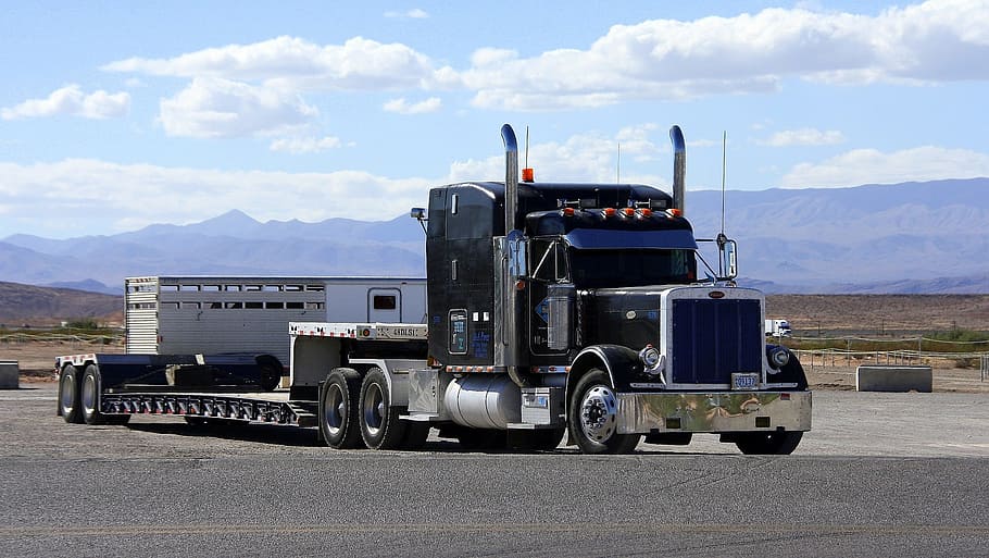 blue, semi truck, road, peterbilt, usa, truck, united states, vice, commercial vehicle, transport