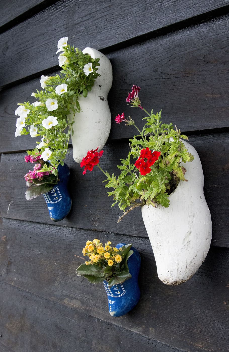 holland, shoes, flowerpot, wall, netherlands, garden shoe, clog, wooden shoes, dutch, popular