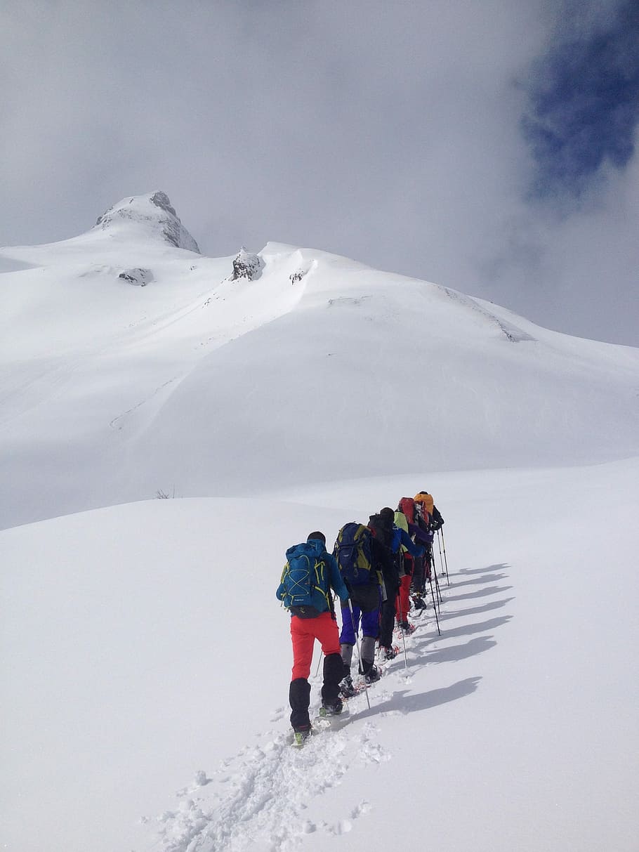 Mountain, Snow, Snowshoes, Pyrenees, winter, rear view, adventure, full length, cold temperature, group of people
