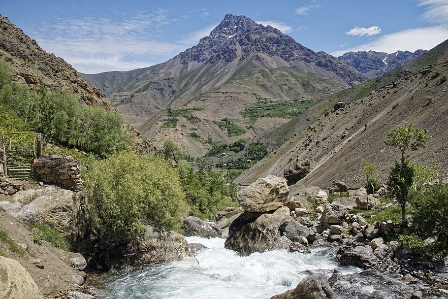 Лака мохи фото таджикистан