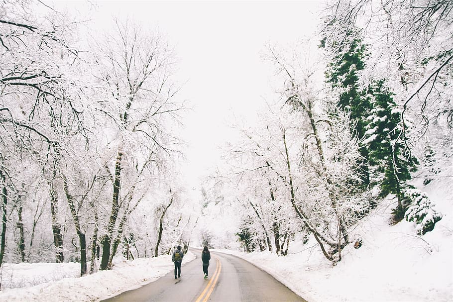 people, walking, road, winter, snow, cold, frozen, zing, trees, rural