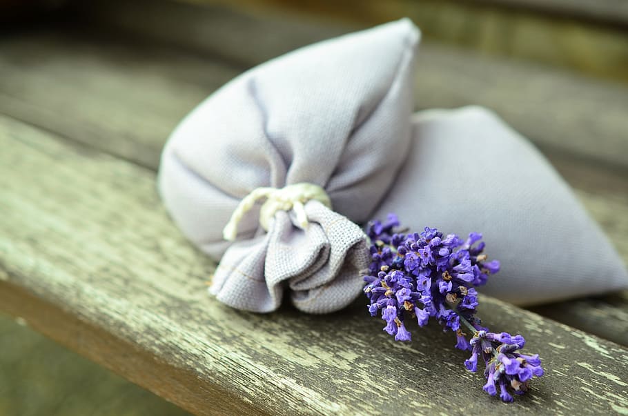 purple, petaled flower decor, lavender, tender, romantic, still life, fragrant, blossom, bloom, lavender bag