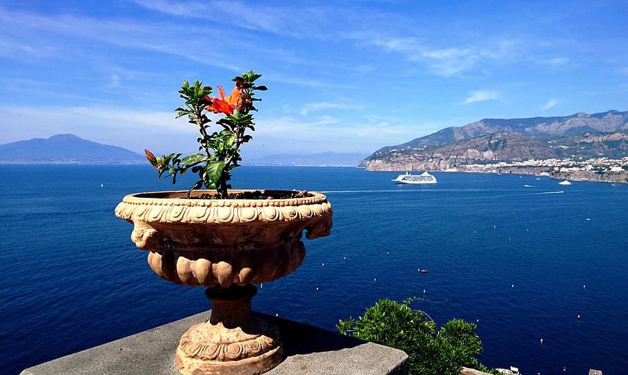 sea, sorrento, italy, water, nature, beauty in nature, flowering plant, flower, mountain, sky