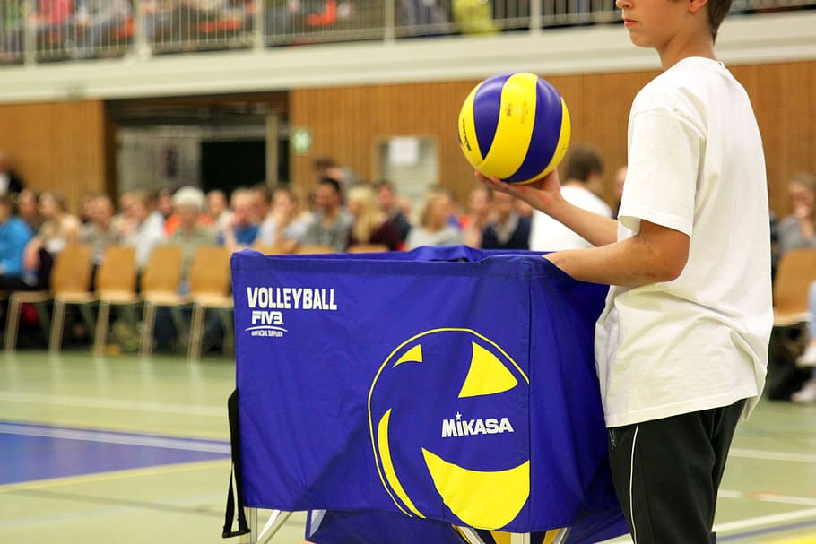 volleyball, sport, ball, volley, ball sports, team sport, competition, audience, viewers, fans
