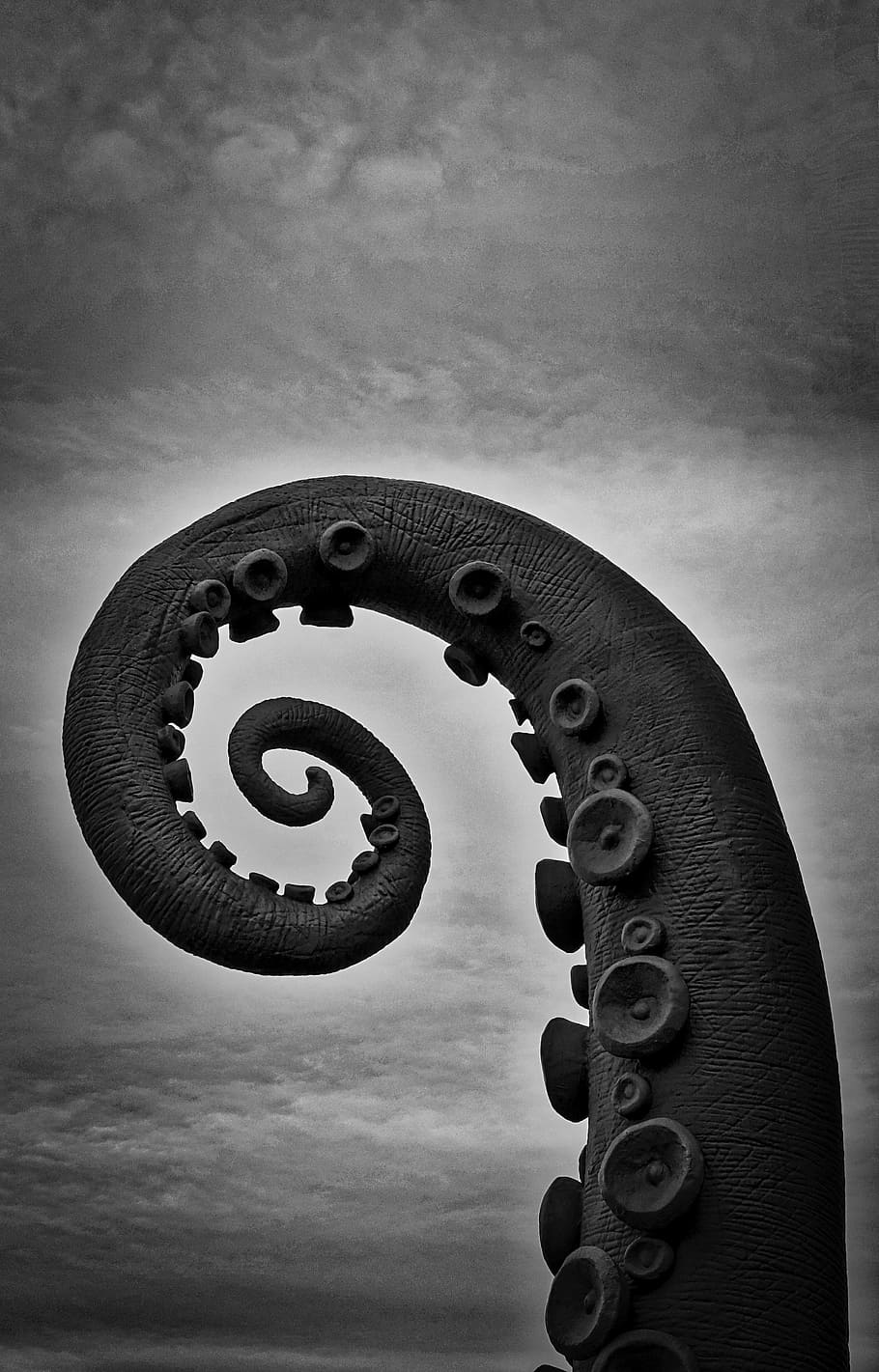 grayscale photo, octopus tail, tail, dragon, fantasy, monster, symbol, gear, machine Part, black And White