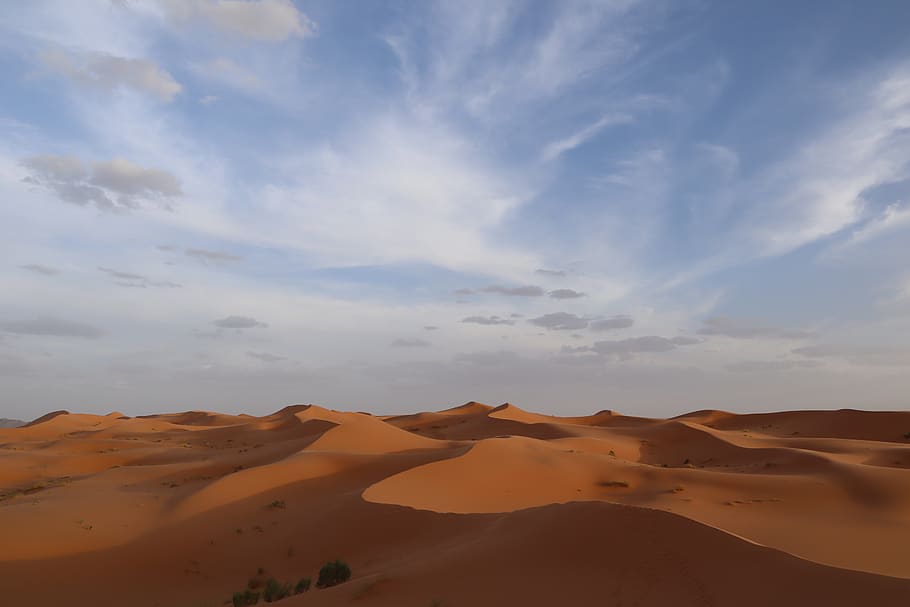 desert, sahara, dune, dunes, light and shadow, nature, sand, sky, background, aridity
