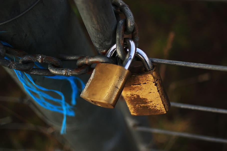 Locked, Locks, Chains, Gate, green, twine, fence, grass, farm, security