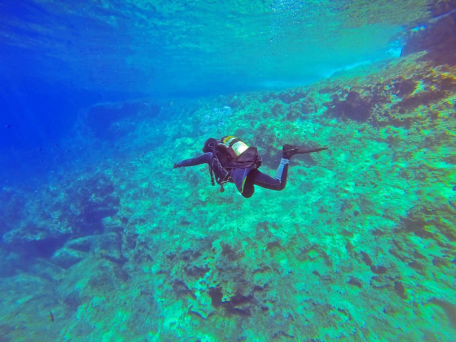 foto, pessoa, mergulho, mergulhador, água, embaixo da agua, mar, oceano, azul, tropical