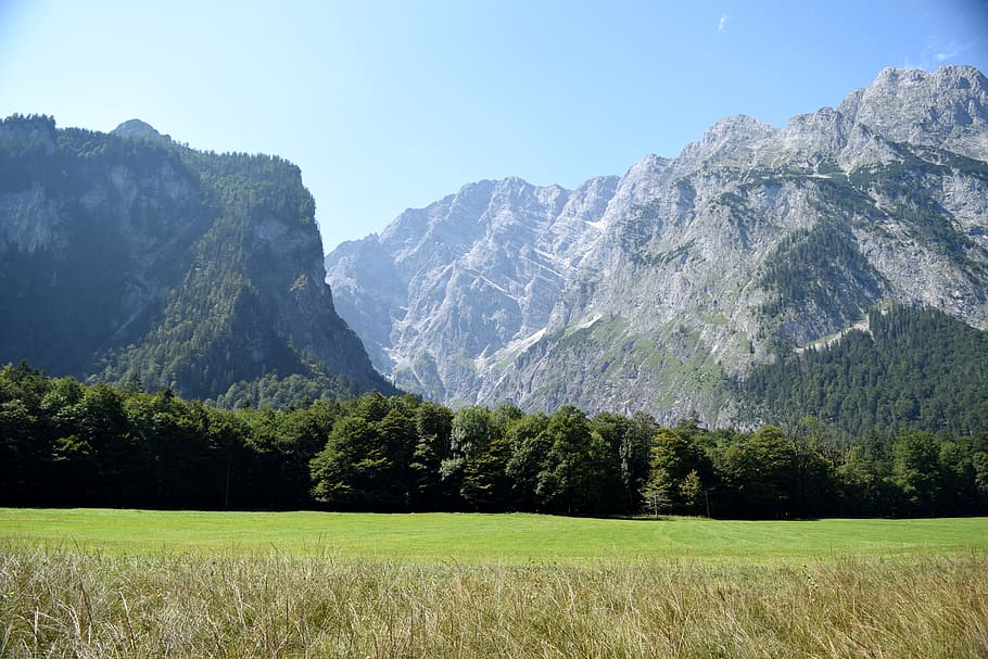 Forest meadows. Пикос-де-Эуропа. Picos de Europa Испания. Национальный парк Берхтесгаден. Национальный парк Берхтесгаден Южная Бавария.