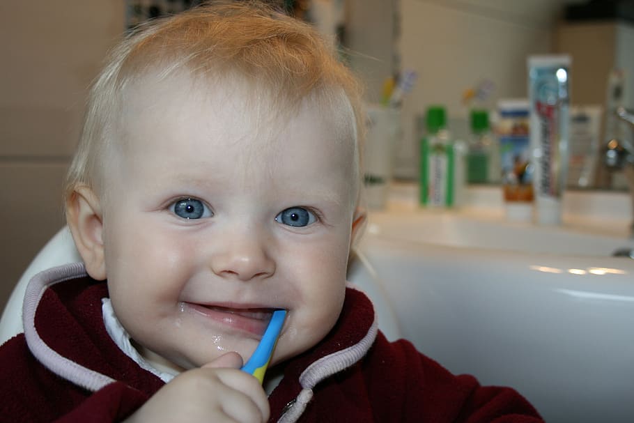 niño pequeño, cepillarse los dientes, diente, bendiga, dentista, atractivo, boca, sonreír, higiene, odontología