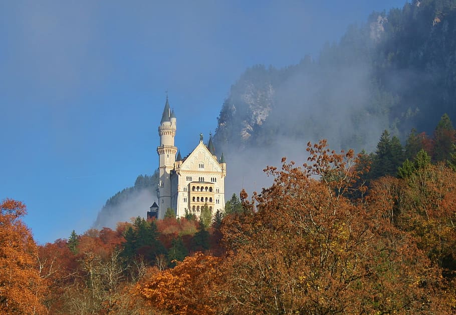 autumn, castle, kristin, neuschwanstein castle, fog, tree, building exterior, architecture, plant, built structure
