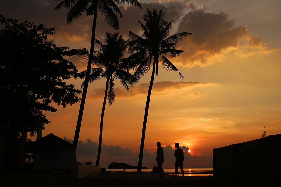 sunset silhouette, two, persons, walking, coconut trees, krabi, koh lanta, thailand, island, sunset