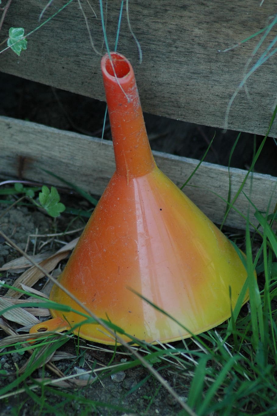 funnel, orange, yellow, light, tool, close-up, plant, orange color, nature, day