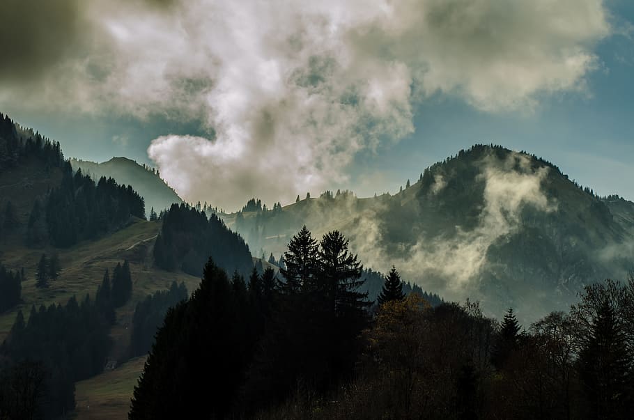 스카이 라인 사진, 산, 구름, 낮, 11 월, 분위기, 우울한, 풍경, 안개, 나무
