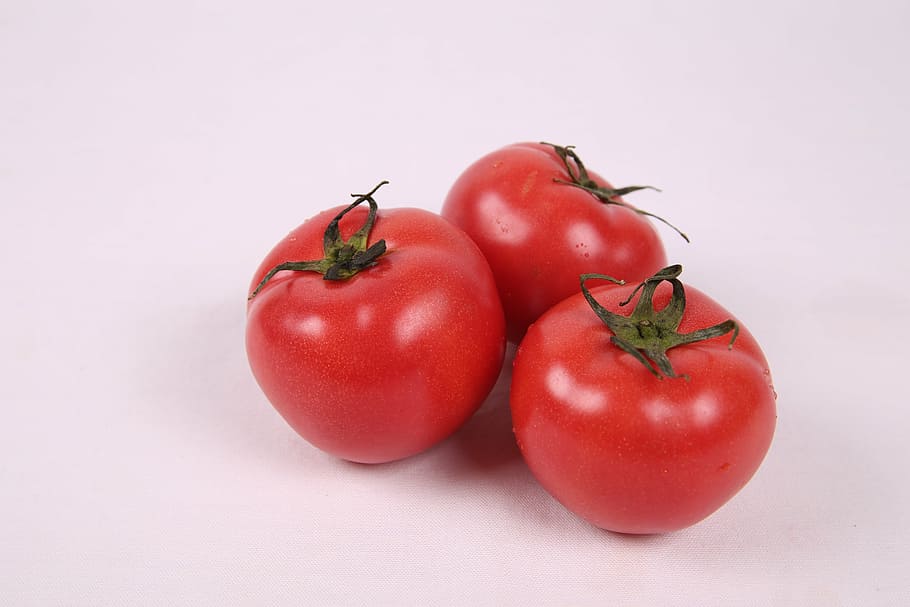 three red tomatoes, tomato, red, fruit, vegetable, fresh tomatoes, health, food, fresh, republic of korea