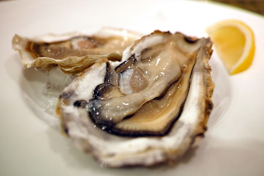 seafood, Restaurant, Cuisine, Food, Diet, Oyster, raw oysters, bivalve, prepared Oysters, gourmet