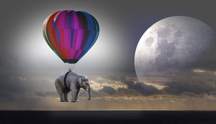 purple, blue, orange, hot, air balloon, gray, elephant, weightless, balloon, hot air balloon ride
