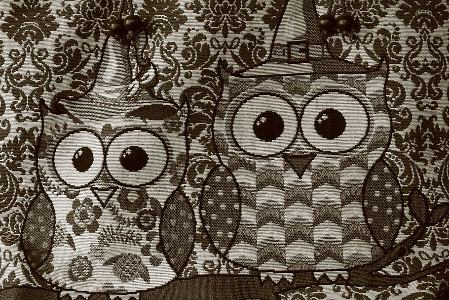 Owls, Birds, Animal, Design, Cartoon, cute, wildlife, face, funny, eye