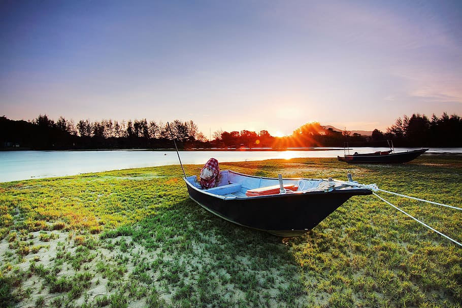 canoe, green, field, sea, water, sunlight, sunshine, sunny, sunrise, boat