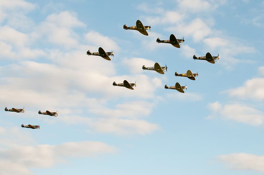 spitfires, flypast, airshow, iconic aircraft, flying, animal wildlife, animals in the wild, animal themes, animal, sky