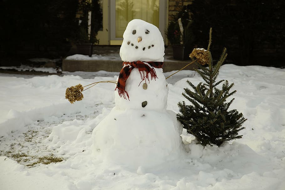 snowman decor, daytime, snowman, snow, white, winter, christmas, cold, frost, outdoors