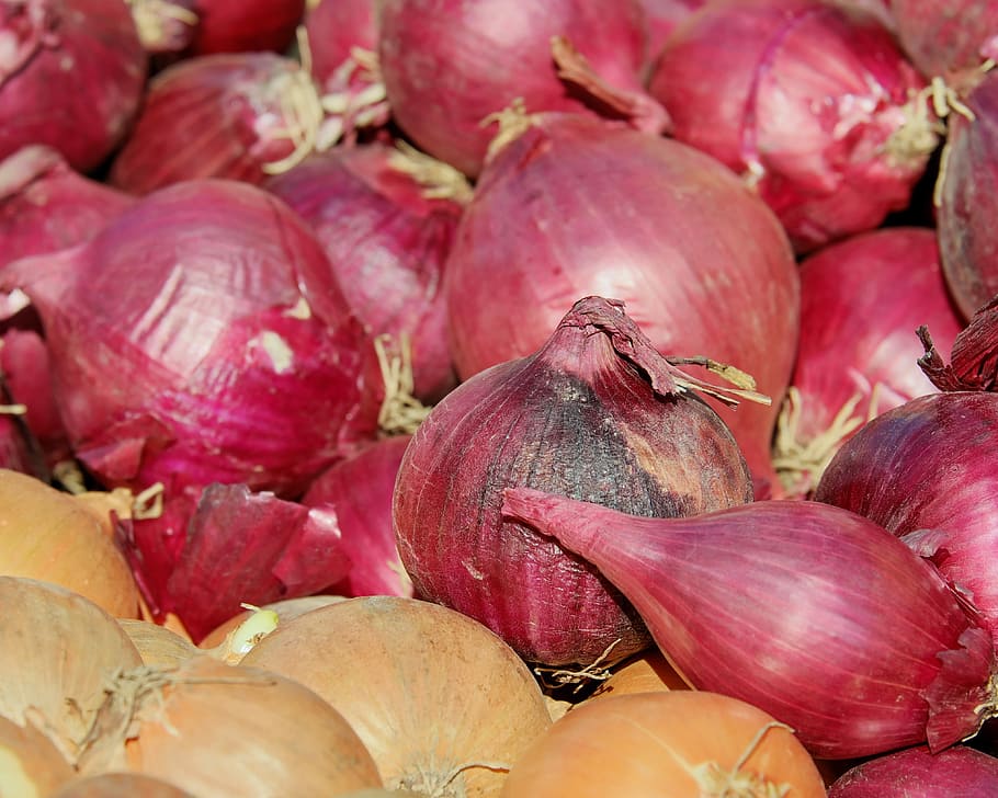 red onions, red shallots, noble onion, onion, sharp, vegetables, vitamins, healthy, food, eat