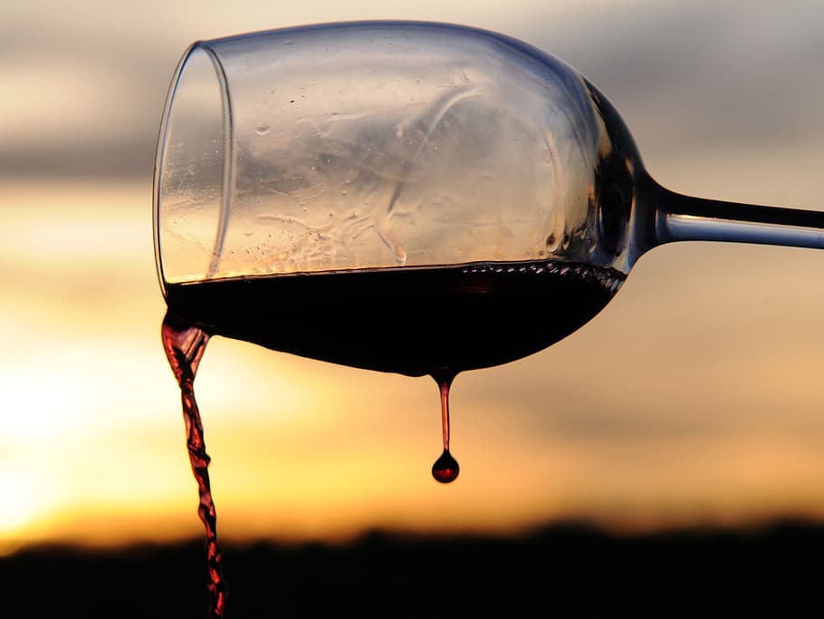 cup, wine, sun, silhouette, vine, grape, vintage, vineyards, alcohol, red