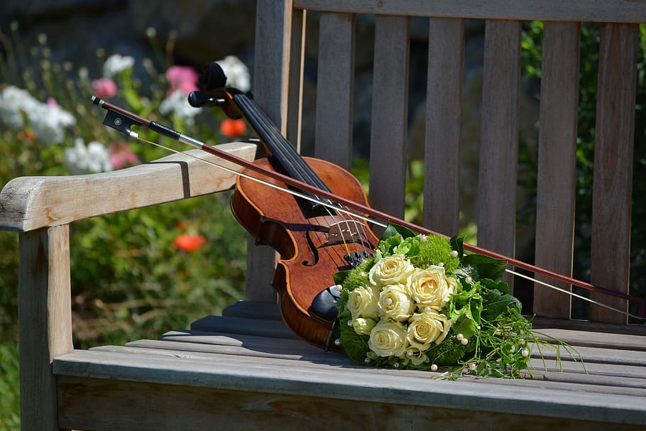 brown, violin, yellow, rose, bouquet, bridal bouquet, wood - material, plant, music, nature