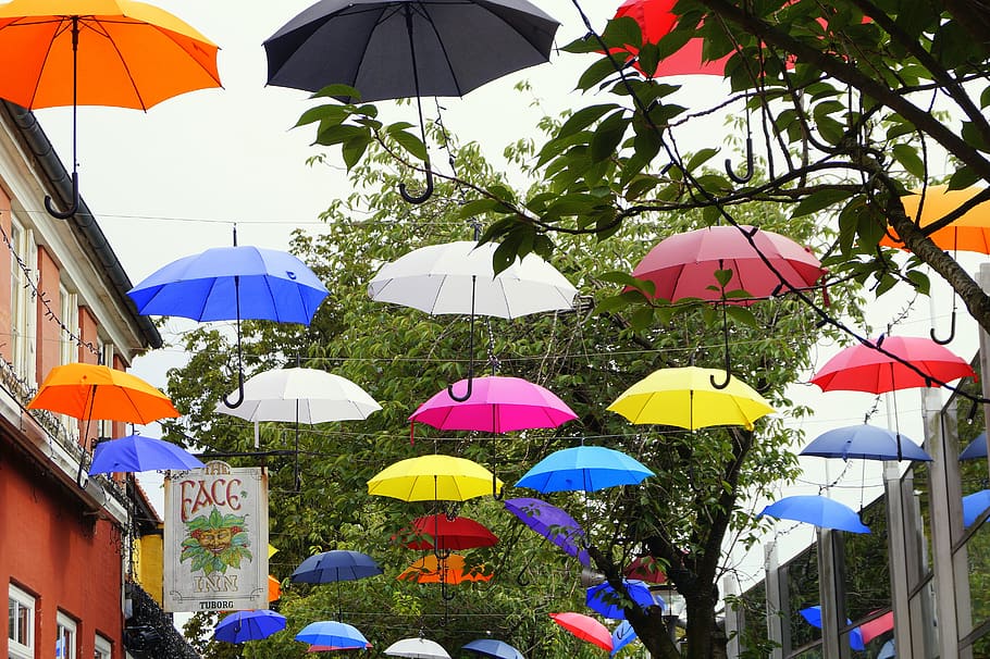 guarda-chuvas, coloridos, facilidade, diversidade, cor, bagunça, alegria, arte, decoração, artística
