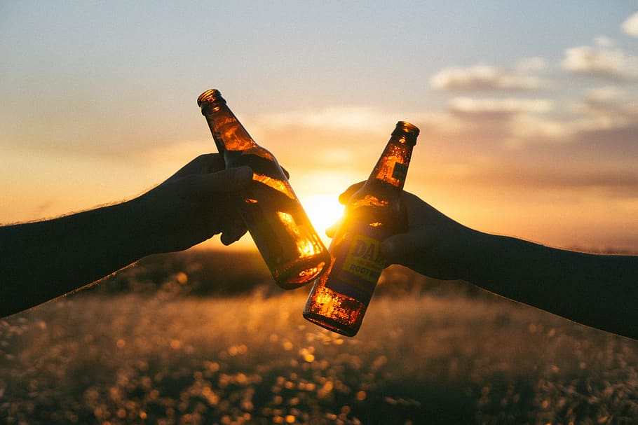 cheers, beer, bottles, hands, sunset, dusk, field, nature, sky, silhouette