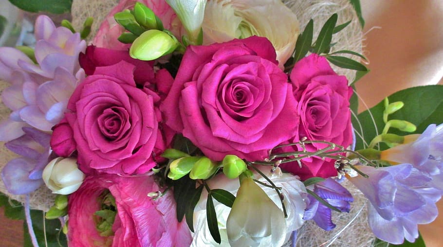 roses, sia, violet, flowers, purple, strauss, schnittblume, bouquet, congratulations, flower