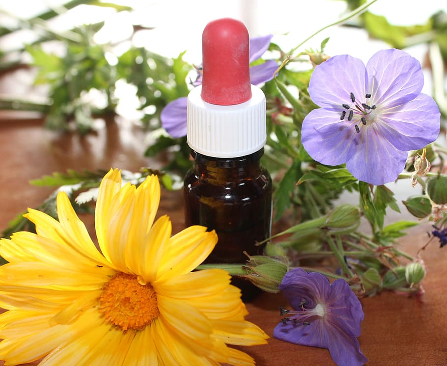 medicine drop bottle, assorted, flowers, natural medicine, flower essences, natural, herbal, essence, flower, medicinal