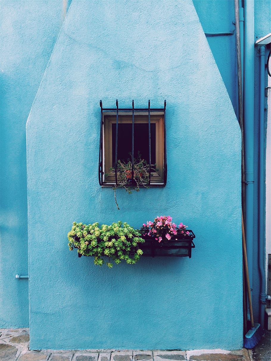 flores, cesta, vasos, janela, barras, azul, parede, casa, arquitetura, estrutura construída