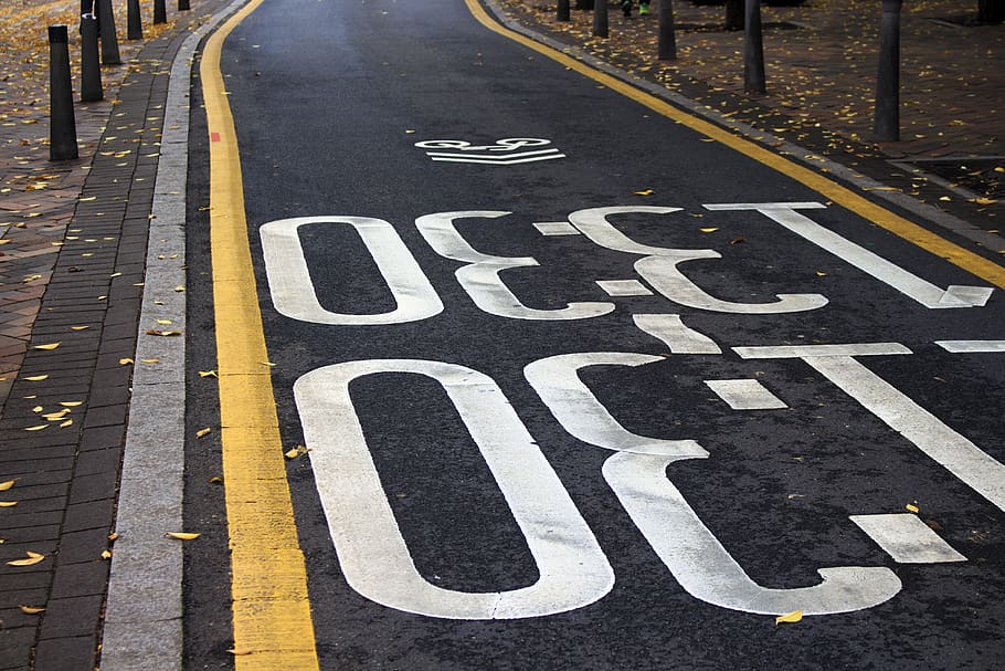 road, autumn, tabitha, republic of korea, walk, sign, transportation, symbol, road marking, marking