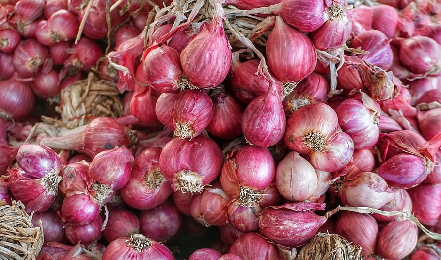 shallot, small, red, onion, bunch, crop, marketplace, market, food, vegetable